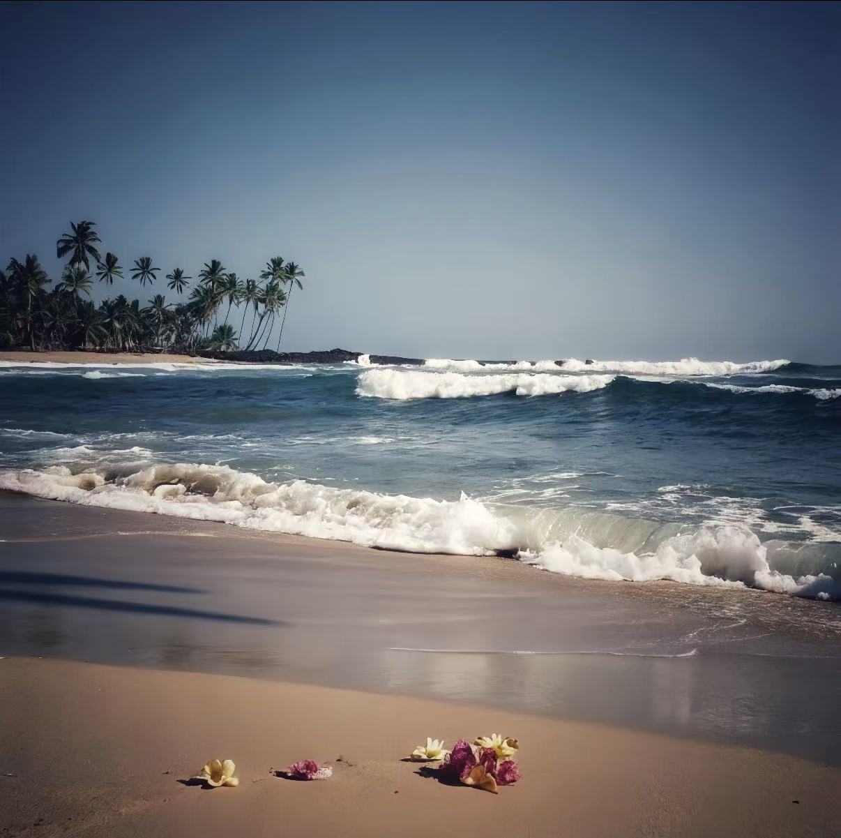 The waves are surging, and on the beach there are several withered flower bouquets.