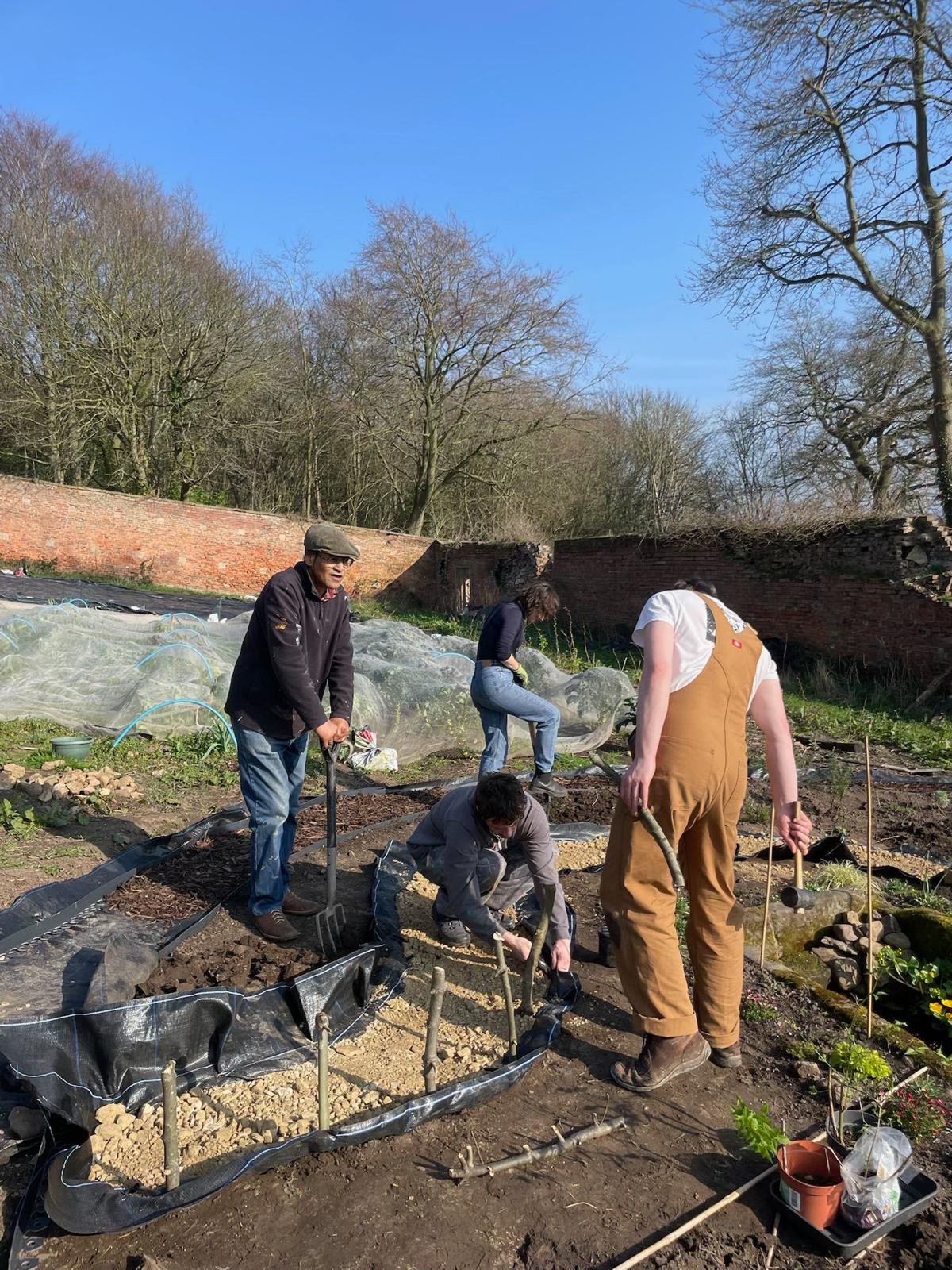 Participants taking part in planting activity on the farm